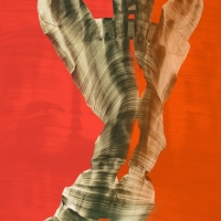 1-Maybe-Sapiens_Elitsa-Baramo1